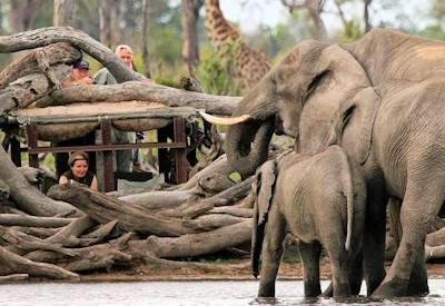 Zimbabwe Travel