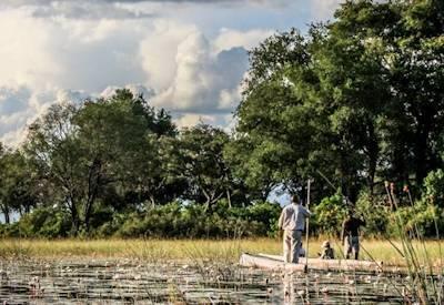 Okavango Delta Pictures