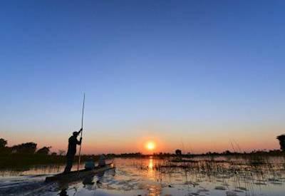 Botswana Delta and Moremi Safari