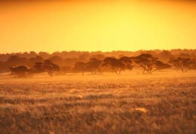Botswana Kalahari Safari