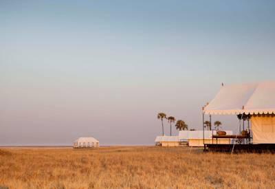 Luxurious San Camp