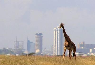 Nairobi National Park