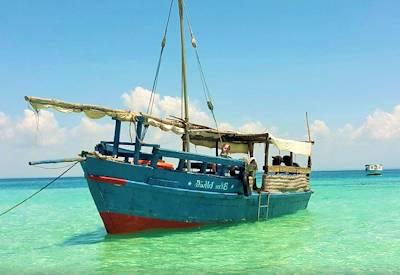 Wasini Dhow Tour