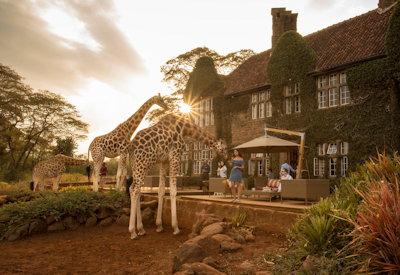 Giraffe Manor