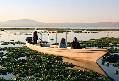 Lake Naivasha National Park