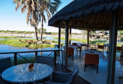 Onguma Bush Camp Gallery