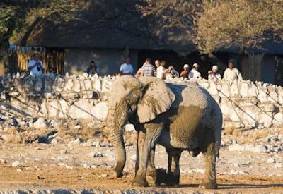 Affordable Namibia Self Drive Safari