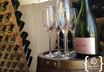 Krone South Africa
