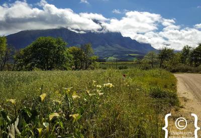 Tulbagh Scenery