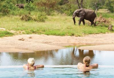 Motswari Game Lodge