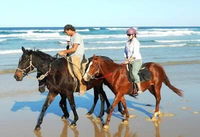 Horse Riding