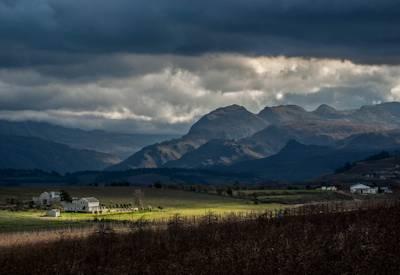 Stellenbosch & Whales