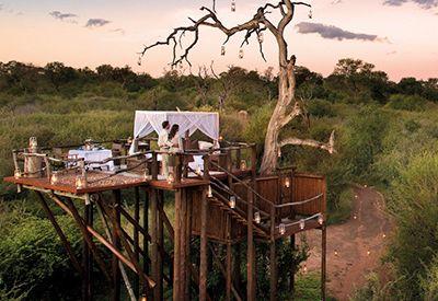 Kruger Park honeymoon Sabi Sands Timbavati luxury suites private plunge pool Big Five romance