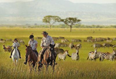 Tanzania honeymoon Serengeti Ngorongoro Crater Zanzibar Pemba beach safari combination romance