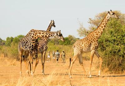 Puku Ridge Camp Family Friendly