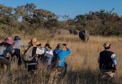 Family friendly safari options at Big Cave Camp