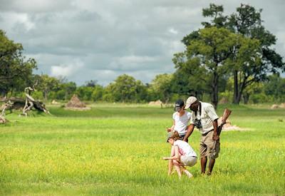 Davison's Camp Family Friendly safari options