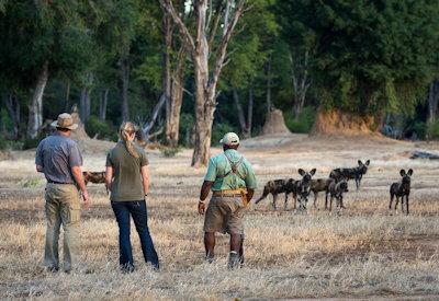 Little Ruckomechi Camp honeymoon safaris