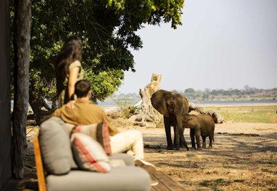 Luxury at Little Ruckomechi Camp