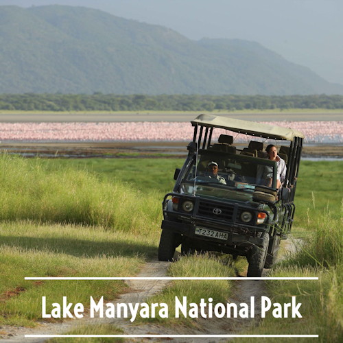 Lake Manyara National Park