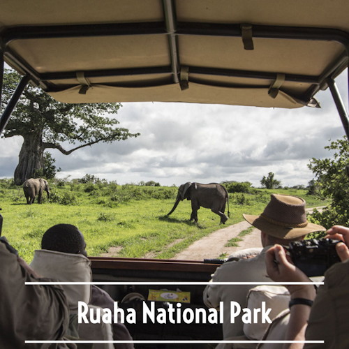 Ruaha National Park