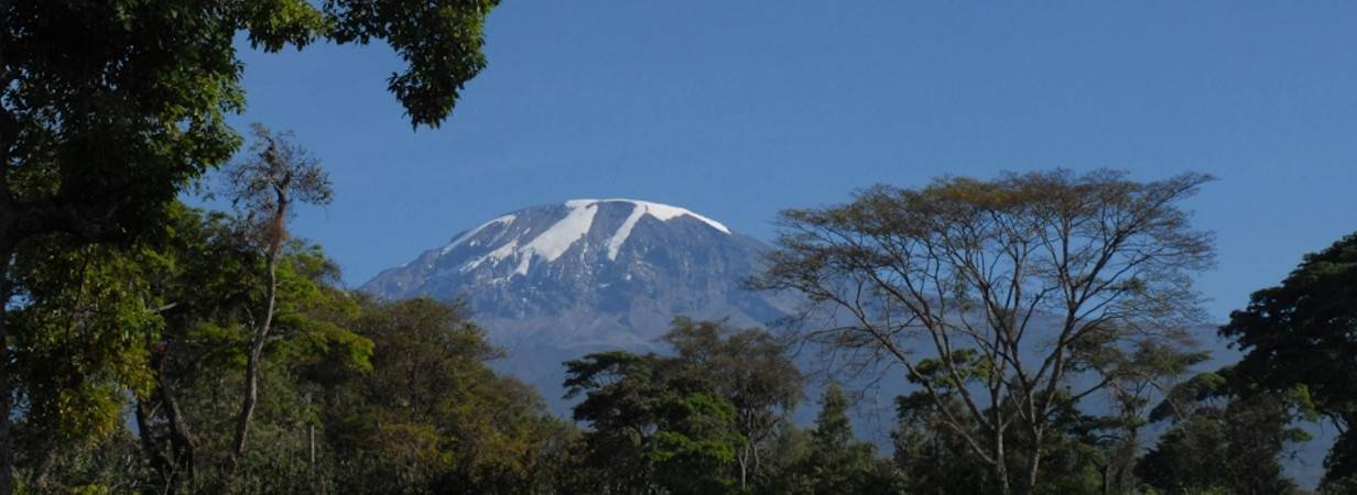 The Arusha Hotel
