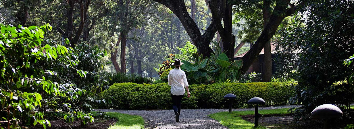 Arusha Coffee Lodge