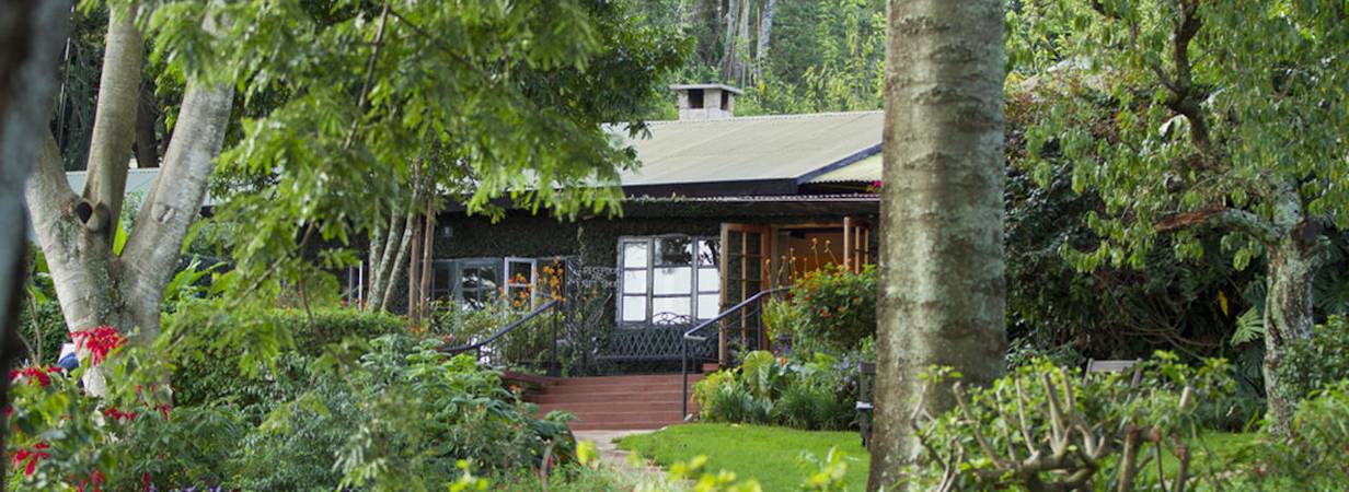 Gibb's Farm