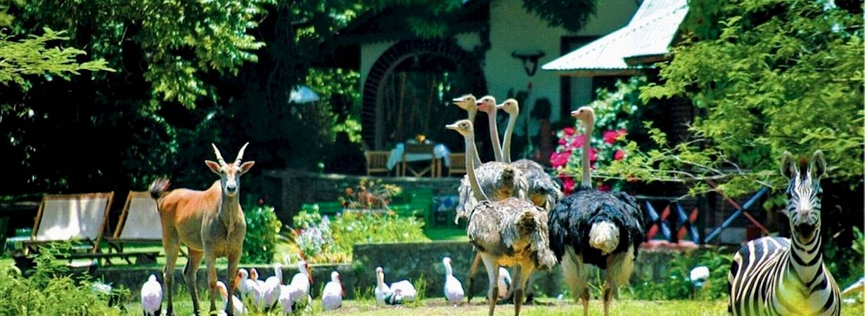 Mount Meru Game Lodge