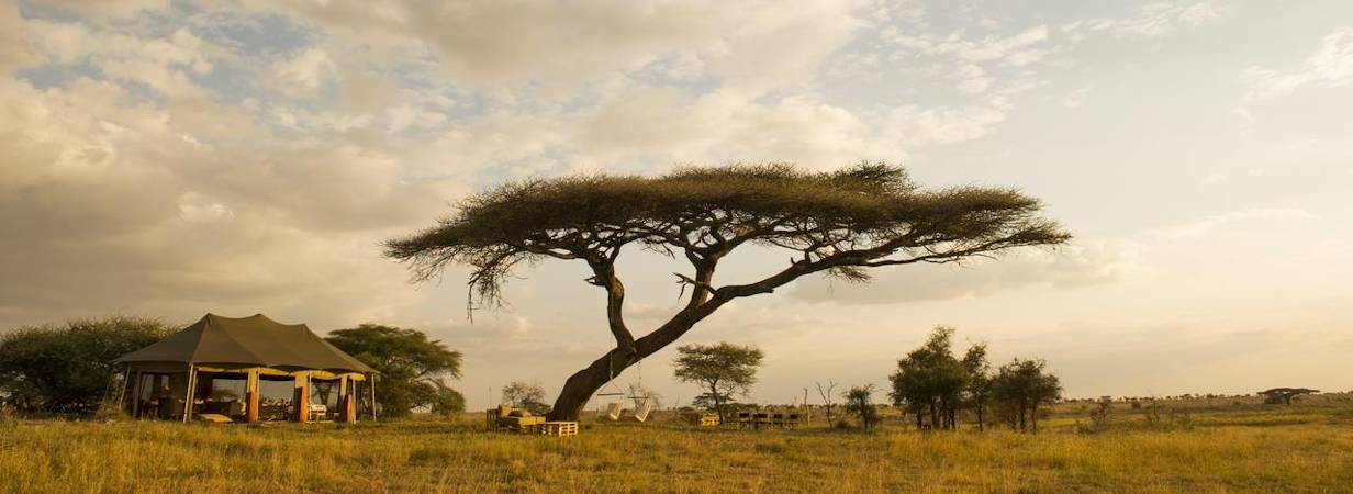 Namiri Plains