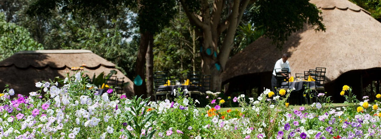 Ngorongoro Farm House