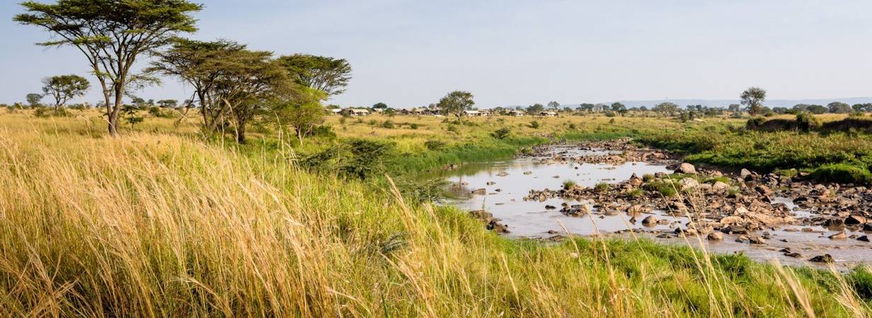 Singita Mara River Tented Camp