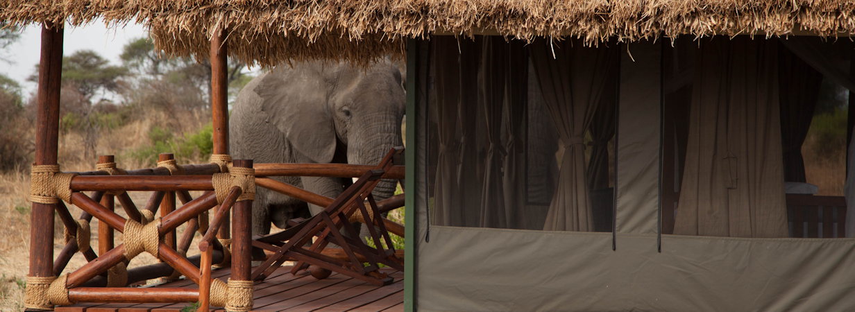 Tarangire Simba Lodge