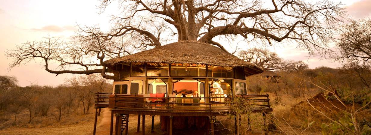 Tarangire Treetops Lodge