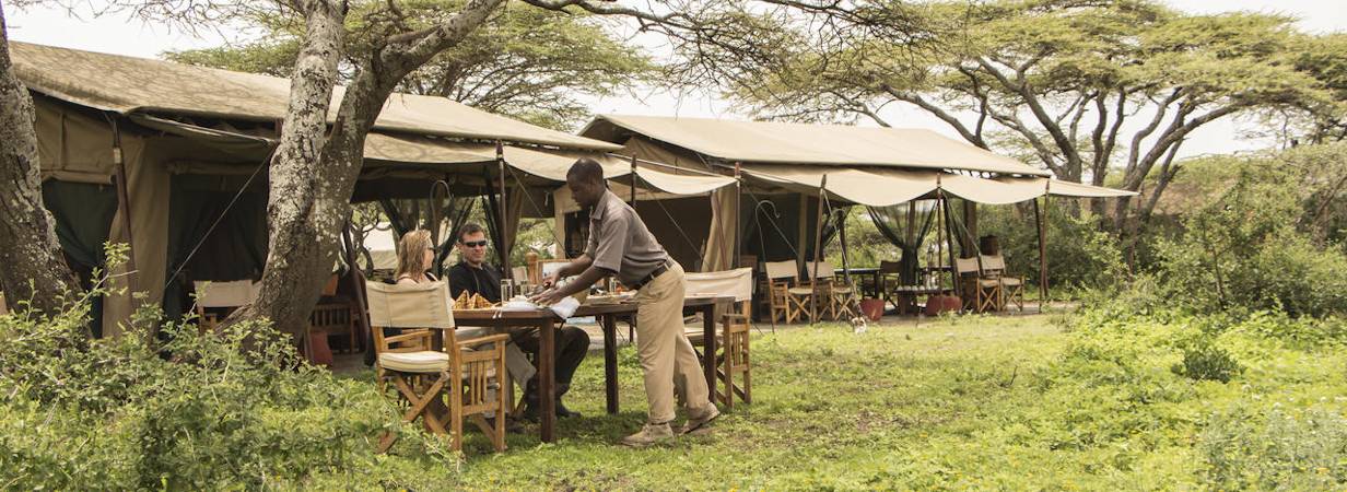 Ubuntu Camp