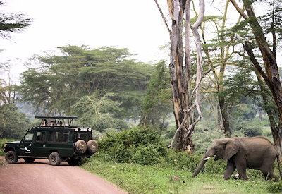 andBeyond Ngorongoro Crater Lodge game drives Olduvai Gorge Maasai village Tanzania