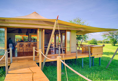 Sayari Camp raised bar deck area rim-flow pool Lamai Wedge Tanzania