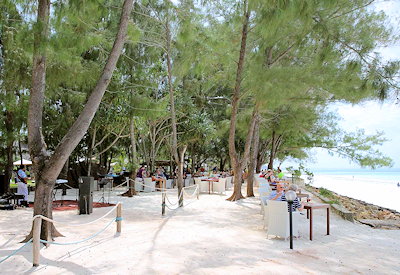 Bluebay Beach Resort private beach access Kiwengwa Indian Ocean Toto Club Zanzibar