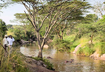 Serengeti Migration Camp guided walking safari Grumeti River 500 bird species Tanzania