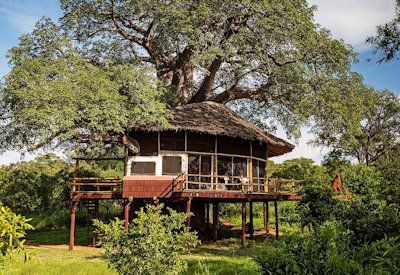 Tarangire Treetops Lodge treehouse suite baobab hills Lake Manyara Rift Valley views Tanzania