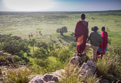 Tarangire Treetops Lodge wildlife waterhole elephant herd views Tanzania Elewana