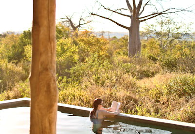 Ruaha National Park largest Tanzania lion elephant buffalo wild dog Jabali Private House