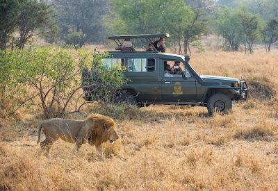 Kirawira Serena Camp game drives Great Migration wildebeest zebra western Serengeti Tanzania