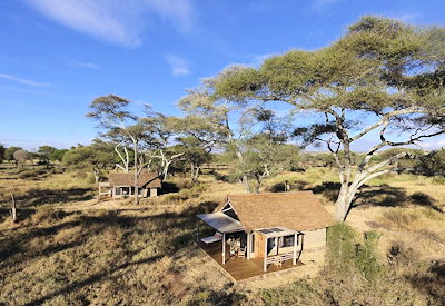 Kuro Tarangire beautiful tented suite amongst trees privacy wildlife views Tanzania