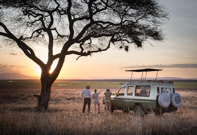 Kuro Tarangire game drives walking safaris 550 bird species Tarangire National Park Tanzania