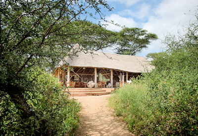 Little Oliver's Camp Tarangire National Park Minyonyo Pools Silale Swamps Tanzania
