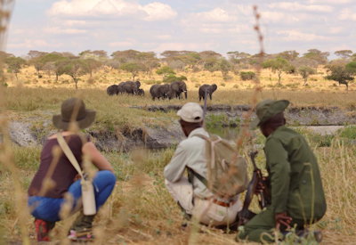 Little Oliver's Camp walking safari night drive fly camping Tarangire National Park Tanzania