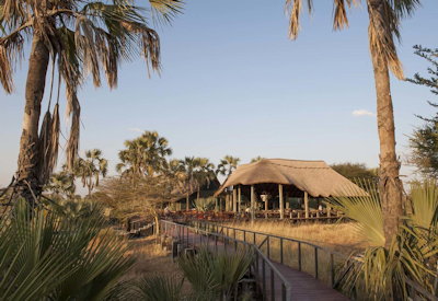 Maramboi Tented Camp suites dotted between palm trees semi-desert Tanzania