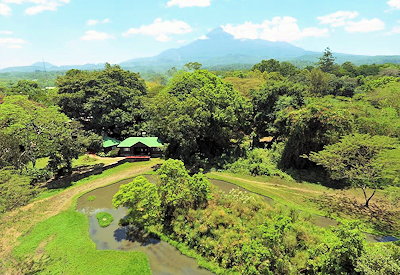 Mount Meru Game Lodge mango tree shaded terrace sanctuary gardens Arusha Tanzania