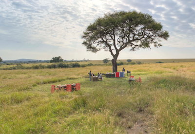 Olakira Migration Camp Mara River crossing wildebeest crocodile Great Migration Tanzania